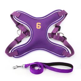 Small And Medium-sized Dogs Vest Chest And Back Pet Supplies Chest Strap (Option: Purple-XS)