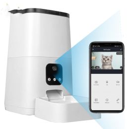 Intelligent Timed And Quantitative Fully Automatic Pet Feeder (Option: White-Button version-US)